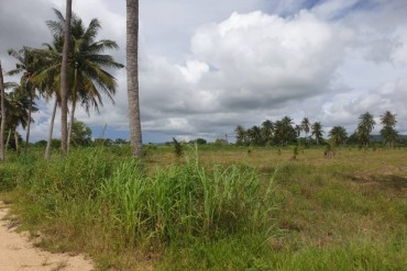 GPPL0109  Land for sale with easy access to highway
