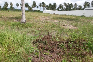 image 4 GPPL0109 Land for sale with easy access to highway