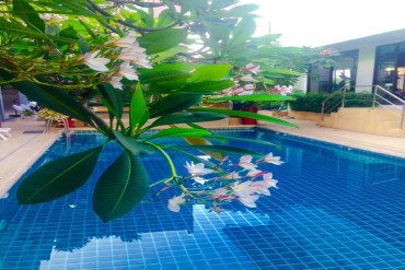 image 31 GPPB0148 Thailand Pattaya 70 Room Hotel with Spa Bargain Sale